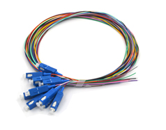 12-Core-SC-UPC-Fiber-Pigtail 12-Core-SC-UPC-Fiber-Pigtail